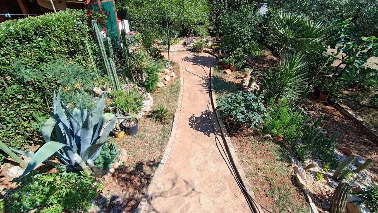 Cactus House Gaspar Zára Kültér fotó